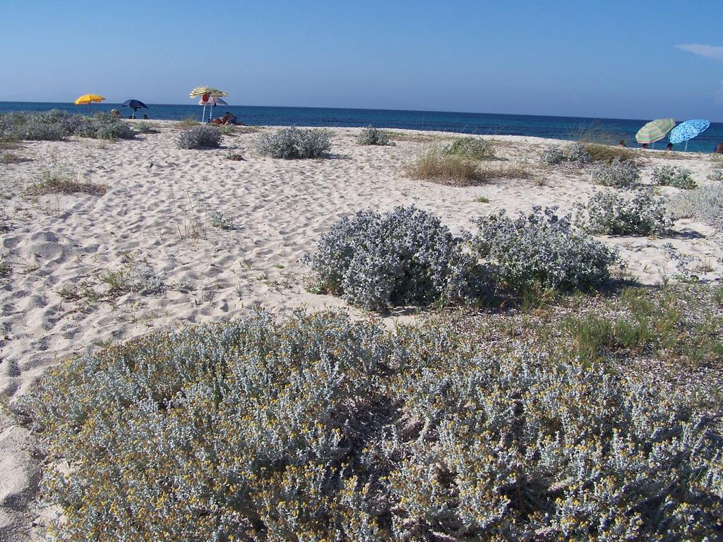 Agriturismo Cuile De Molino Porto Torres Dış mekan fotoğraf