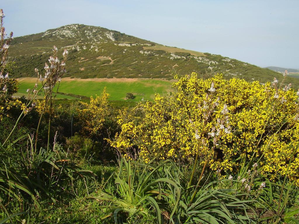 Agriturismo Cuile De Molino Porto Torres Dış mekan fotoğraf