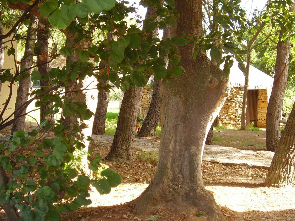 Agriturismo Cuile De Molino Porto Torres Dış mekan fotoğraf