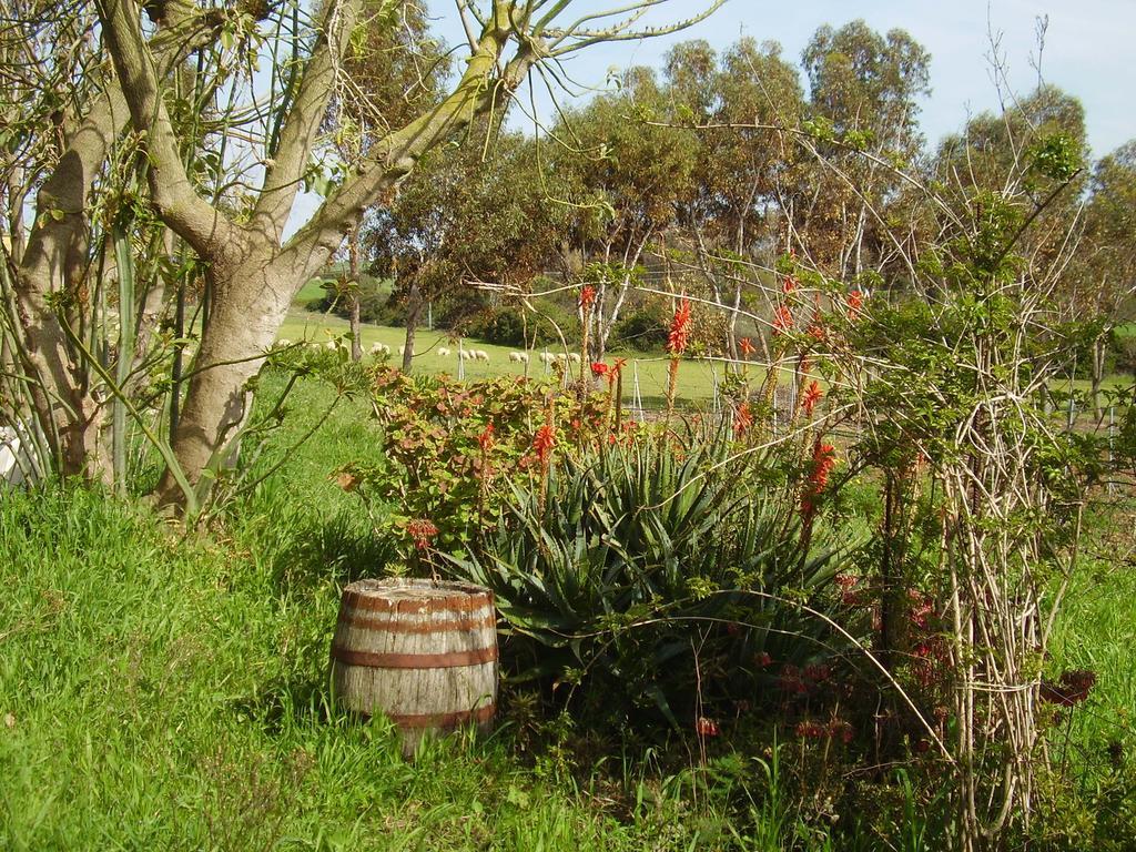Agriturismo Cuile De Molino Porto Torres Dış mekan fotoğraf