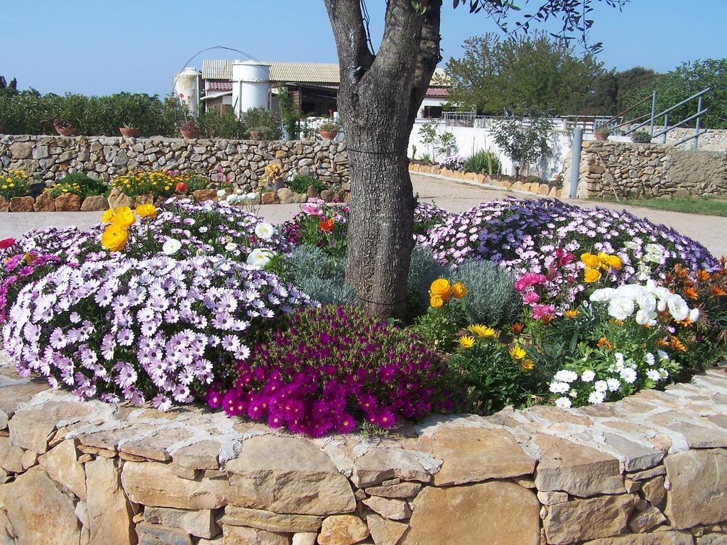 Agriturismo Cuile De Molino Porto Torres Dış mekan fotoğraf