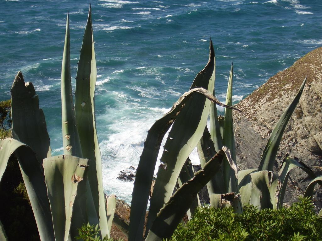 Agriturismo Cuile De Molino Porto Torres Dış mekan fotoğraf